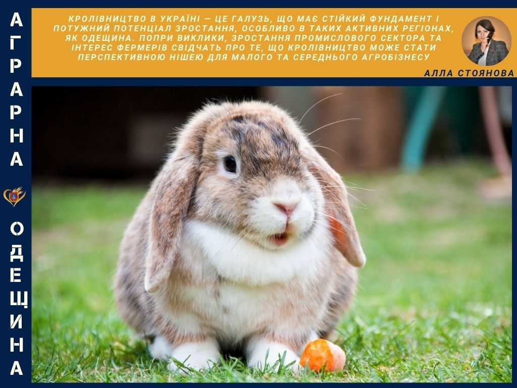 RABBIT BREEDING IN UKRAINE: STABILITY IN NUMBERS AND OPPORTUNITIES FOR ...